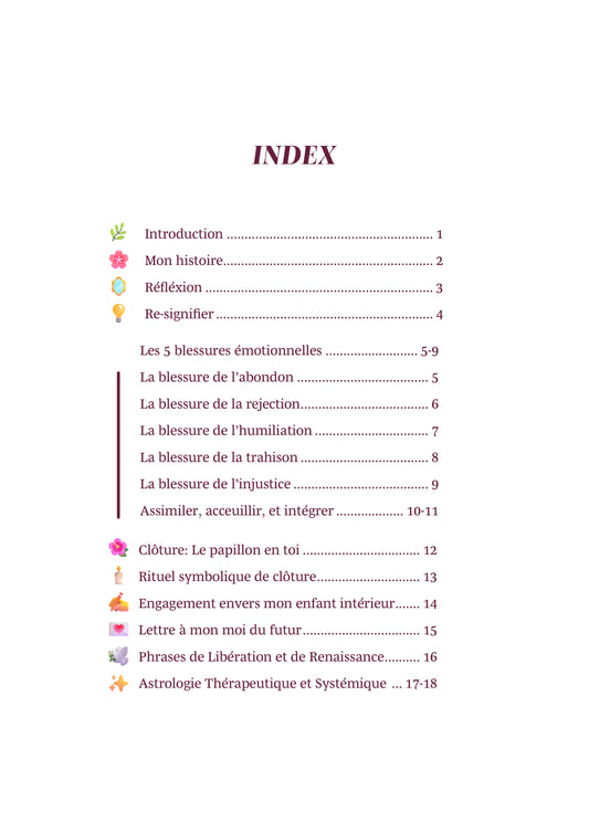 E-Book: "Blessures qui te guérissent, Guérisons qui te libèrent"